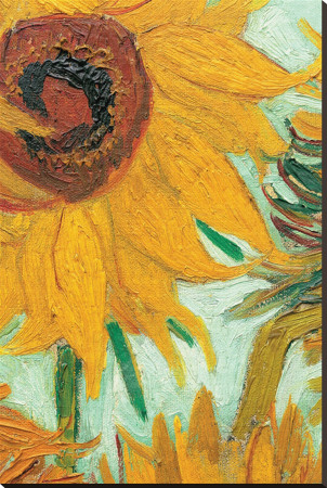 Buy Twelve Sunflowers (detail) Stretched Canvas Print