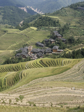 Longsheng Terraced Ricefields, Guilin, Guangxi Province, China: Photographic Print