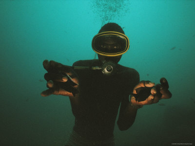 Diver Collects Cichlid Fish Outside the Boundaries of the National Park in Lake Malawi