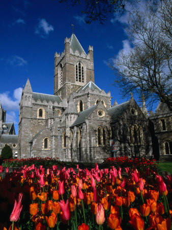 Christ Church Cathedral Surrounded by Tulips in Bloom, Dublin, County Dublin, Ireland, Leinster