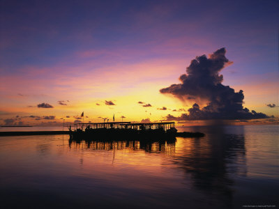 Sunset, Ari Atoll, White Sands Island And Resort: Photographic Print
