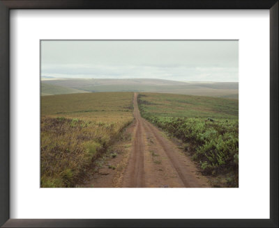 A Dirt Road Leading to the Horizon Through Rolling Grasslands: Framed Art Print
