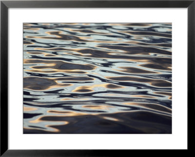 View of the Shiny Surface of Waters off the Coast of Antarctica: Framed Art Print
