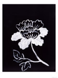 Shadow Chrysanthemum Other