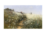 A Lady with a Parasol in a Meadow with Cow Parsley 1881 Other