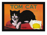Tom Cat Brand Other