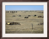 A Westerm Kansas Field is Strewn with Old Cars and Farm Implements Framed Photographic Print