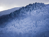 Winter Snow Whitens Mount Van Hoevenberg Other