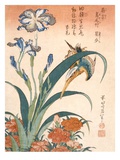 Kingfisher Irises and Pinks (Colour Woodblock Print) Other
