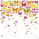 Butterfly Cloud Giclee Print